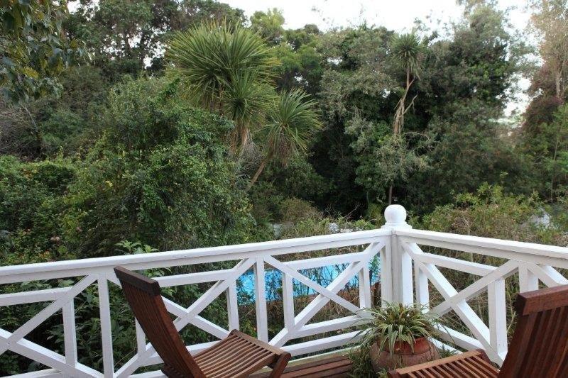 Yellowwood Lodge (Adults Only) Knysna Room photo