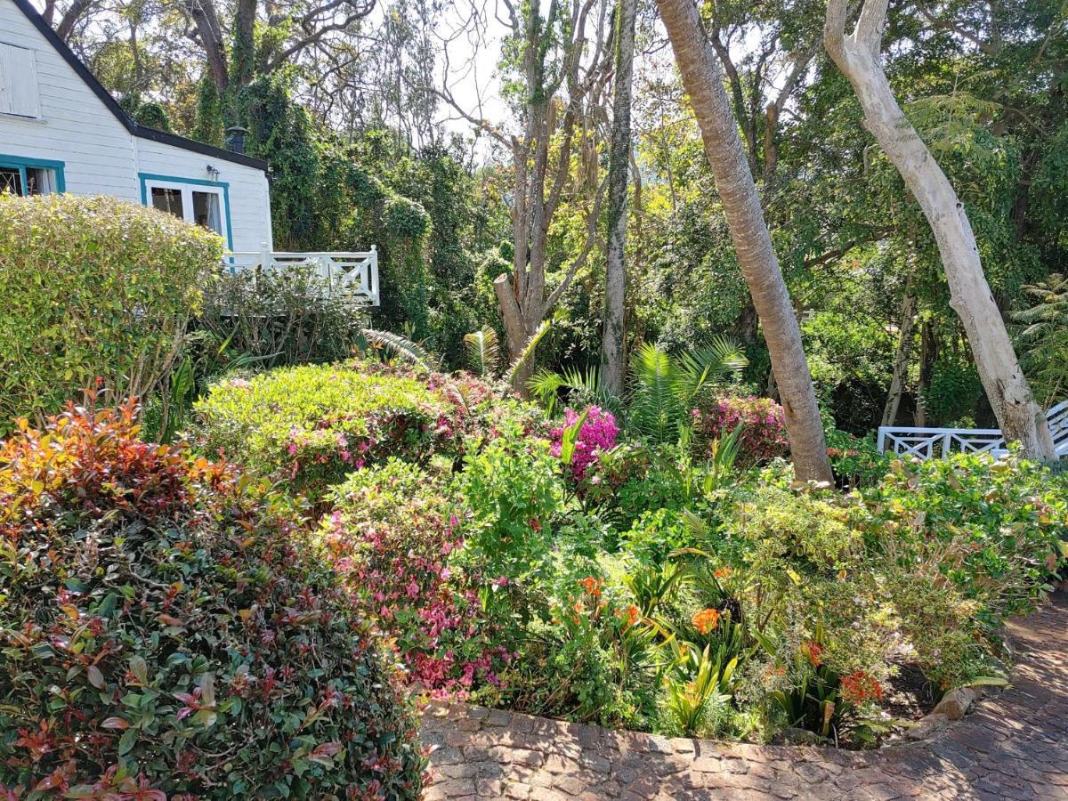 Yellowwood Lodge (Adults Only) Knysna Exterior photo
